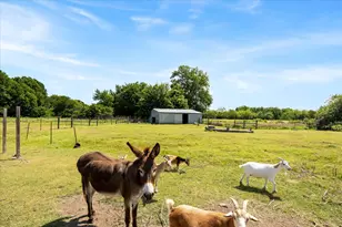 5848 Co Rd 283, Kaufman, TX 75142 - Photo 33