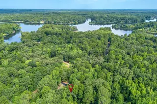 237 Co Rd 1525, Avinger, TX 75630 - Photo 39