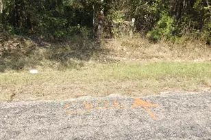 14915 County Rd 26, Tyler, TX 75707 - Photo 1