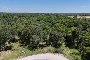 1029 Ironwood Way, Poolville, TX 76487 - Photo 1