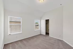 13429 Tabasco Cat Dr, Frisco, TX 75035 - Photo 35