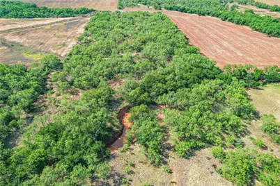 1195 County Road 415, Merkel, TX 79536 - Photo 39