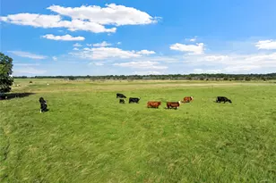 729 Hcr 2224 E, Aquilla, TX 76622 - Photo 33