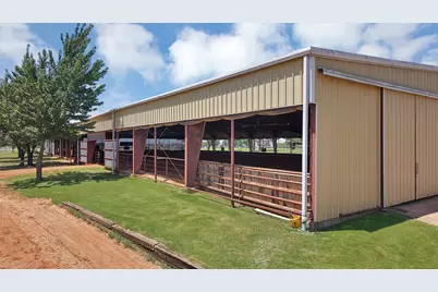 15135 E Fm 922, Tioga, TX 76271 - Photo 19