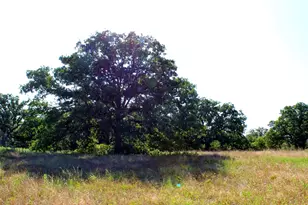 9296 Fm 1810, Chico, TX 76431 - Photo 29