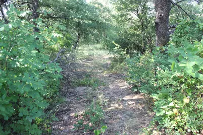 9296 Fm 1810, Chico, TX 76431 - Photo 27