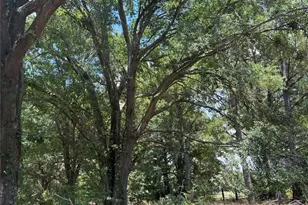 19780 Interstate 20, Wills Point, TX 75169 - Photo 13