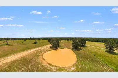 7212 County Road 2761, Buffalo, TX 75831 - Photo 21
