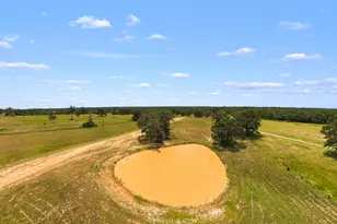 7212 County Rd 2761, Buffalo, TX 75831 - Photo 21