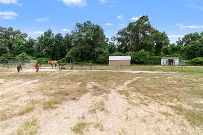 7212 County Road 2761, Buffalo, TX 75831 - Photo 31