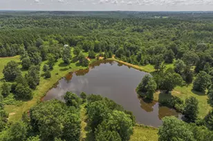 252 Co Rd 2110, Atlanta, TX 75551 - Photo 33