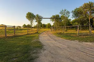 8883 County Road 2075, Powell, TX 75153 - Photo 3