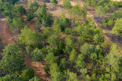 3350 Fm 1256, Eustace, TX 75124 - Photo 27