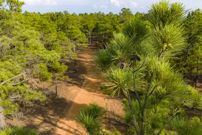 3350 Fm 1256, Eustace, TX 75124 - Photo 9