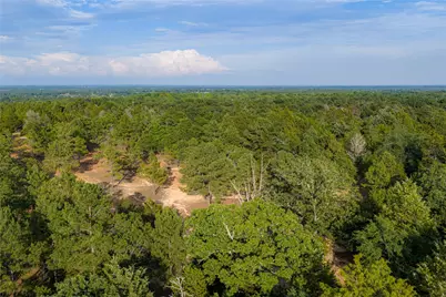 3350 Fm 1256, Eustace, TX 75124 - Photo 31