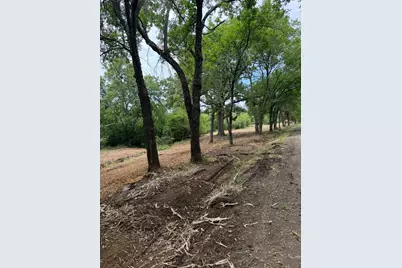 Lot 4 County Road 3562, Dike, TX 75437 - Photo 3
