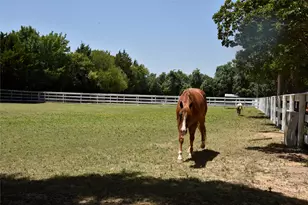 1329 S Belt Line Rd, Mesquite, TX 75149 - Photo 33
