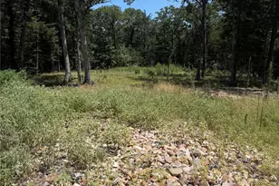 7310 Fm 1567, Lone Oak, TX 75453 - Photo 1