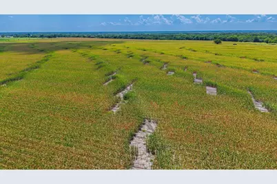 Tbd Fm 2655, Wolfe City, TX 75496 - Photo 15