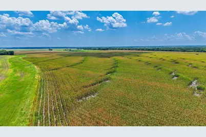 Tbd Fm 2655, Wolfe City, TX 75496 - Photo 7