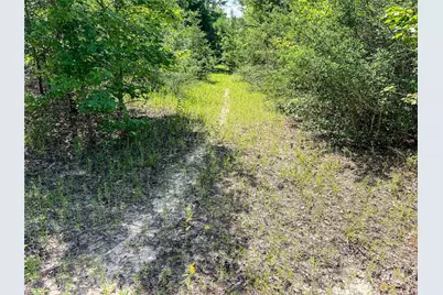 738 Cr 1209, Grapeland, TX 75844 - Photo 37
