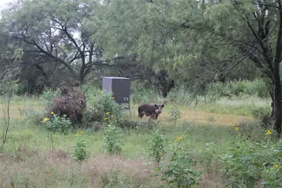 7255 County Road 124, San Saba, TX 76877 - Photo 35