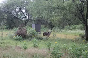 7255 Co Rd 124, San Saba, TX 76877 - Photo 35