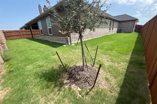 2217 Shamrock Lane, Weatherford, TX 76087 - Photo 13