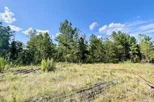 8262 US Hwy 84 W, Mount Enterprise, TX 75681 - Photo 29