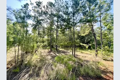 8262 US Highway 84 W, Mount Enterprise, TX 75681 - Photo 27