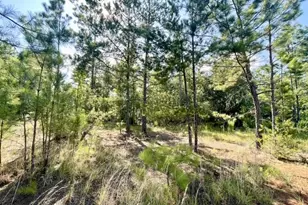 8262 US Hwy 84 W, Mount Enterprise, TX 75681 - Photo 27