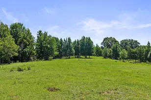 1710 Co Rd 2928, Hughes Springs, TX 75656 - Photo 27