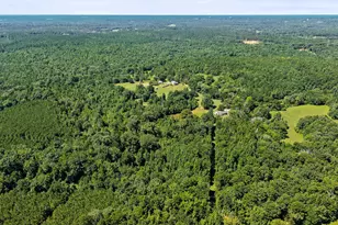 1710 Co Rd 2928, Hughes Springs, TX 75656 - Photo 33