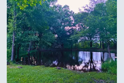 1094 County Road 2389, Alba, TX 75410 - Photo 5