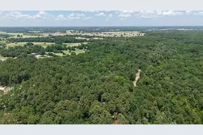 1595 County Road 4112, Canton, TX 75103 - Photo 7