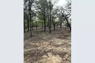 10979 County Road 401, Dublin, TX 76446 - Photo 11