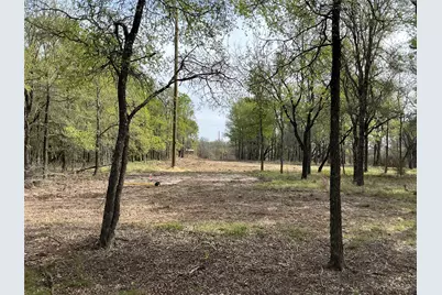10979 County Road 401, Dublin, TX 76446 - Photo 13