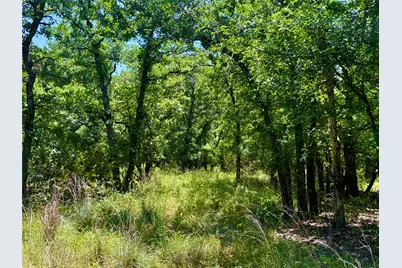 350 Indian Camp Road, Weatherford, TX 76088 - Photo 11