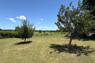 438 Lcr 864, Jewett, TX 75846 - Photo 7