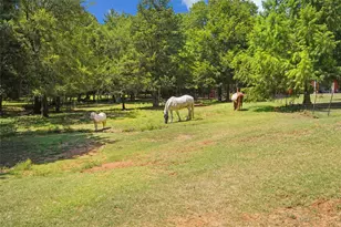 1433 Old Sadler Rd, Sadler, TX 76264 - Photo 37