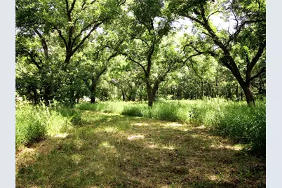 6108 Cottonwood Creek Road, Saint Jo, TX 76265 - Photo 23