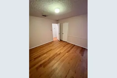 16541 Jasmine Springs Drive, Fort Worth, TX 76247 - Photo 9