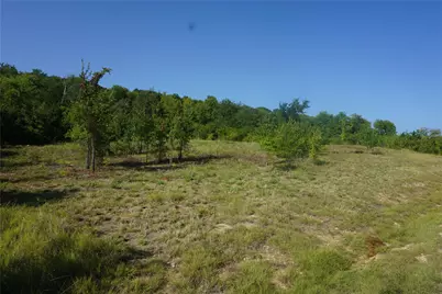 Lot 158 Canyon Wren, Possum Kingdom Lake, TX 76449 - Photo 7