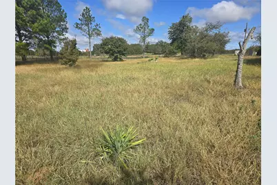 134 Private Road 1989, Chico, TX 76431 - Photo 7