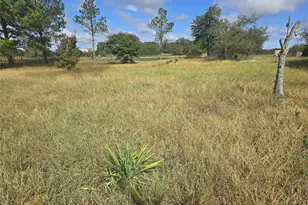134 Private Rd 1989, Chico, TX 76431 - Photo 7
