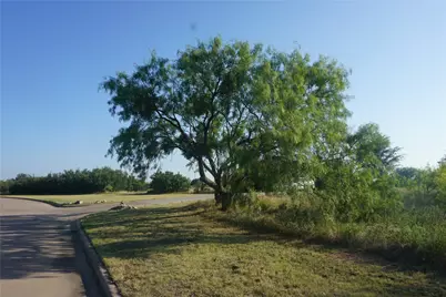 Lot 141 Spyglass Drive, Possum Kingdom Lake, TX 76449 - Photo 9