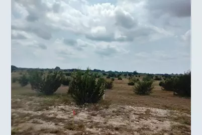 520 Hollow Drive, Lipan, TX 76433 - Photo 3