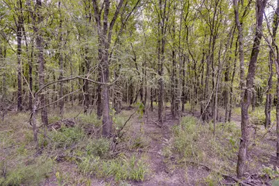 581 Dunkerley Road, Ennis, TX 75119 - Photo 15