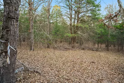 344 Rs County Road 4254, Point, TX 75472 - Photo 9