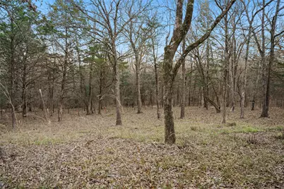 344 Rs County Road 4254, Point, TX 75472 - Photo 7